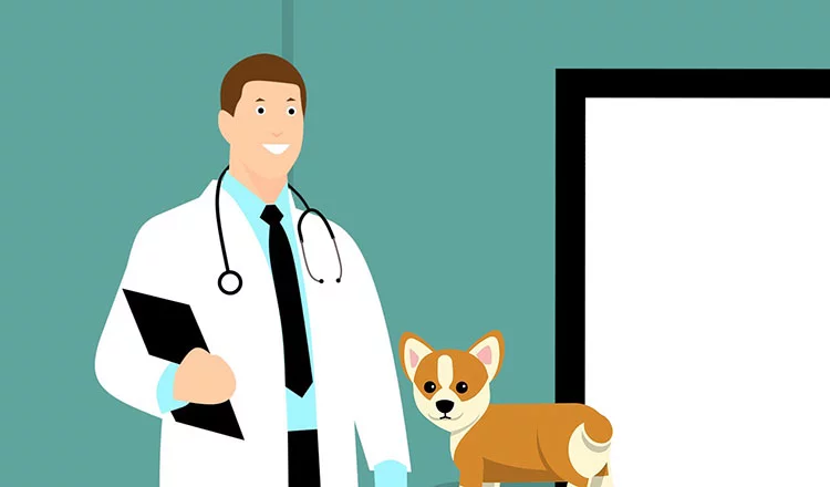 Vaxxing for canines - protecting your dog from rabies -