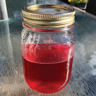Highbush Cranberry & Clove Simple Syrup
