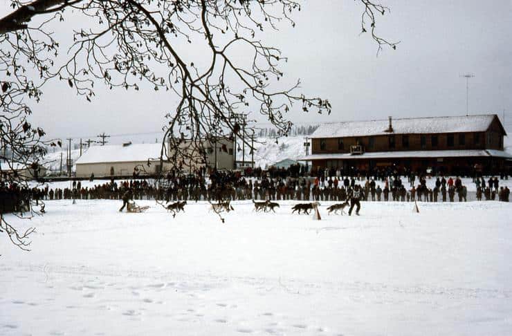Sled dog racing along the Yukon River in a Rendezvous of yore.
