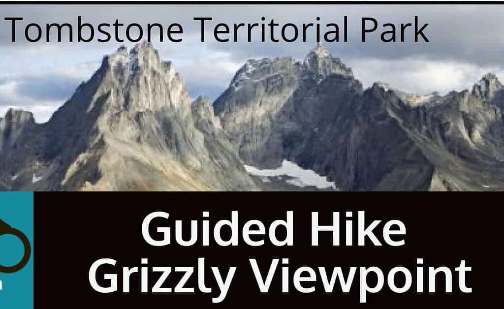 Guided Hike Grizzly Viewpoint