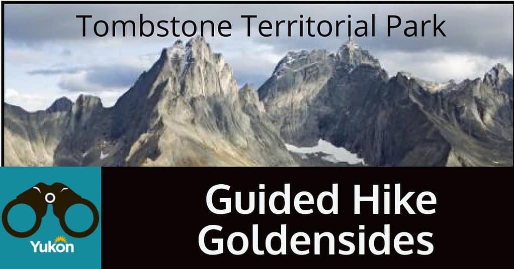 Guided Hike Goldensides
