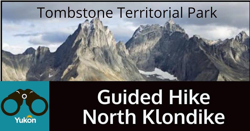 Guided Hike North Klondike