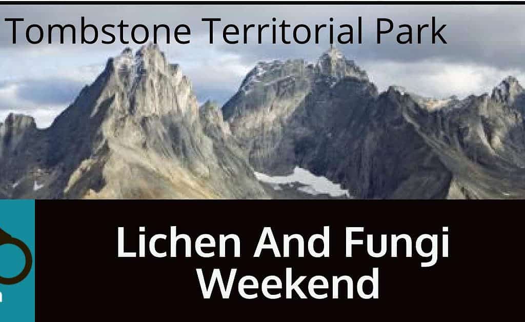 Lichen And Fungi Weekend
