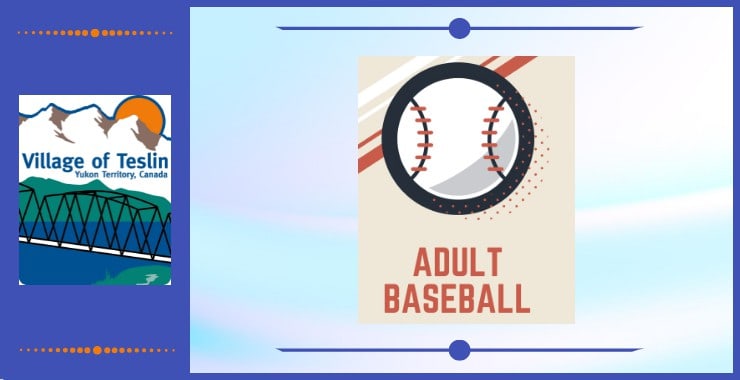 Adult Baseball