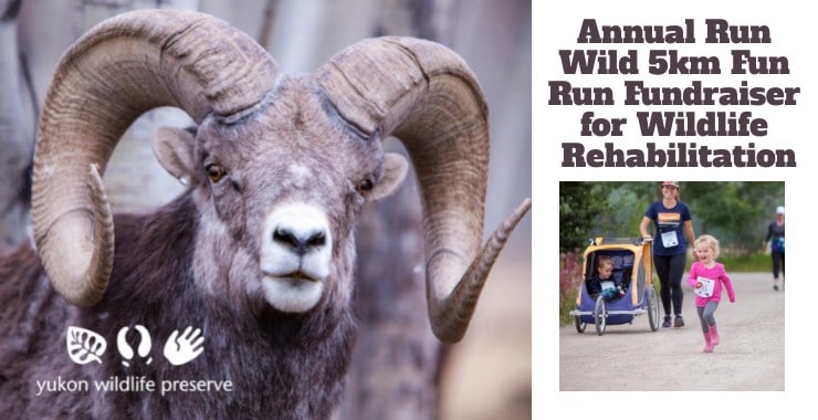 Annual Run Wild 5km Fun Run Fundraiser for Wildlife Rehabilitation