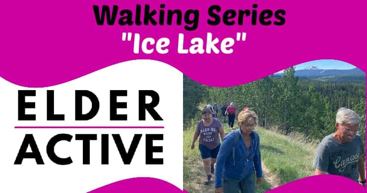 Walking Series Level 2 Ice Lake