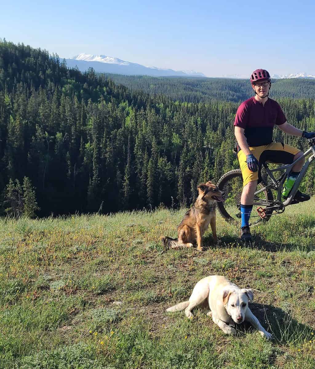 A man on a mountain bike with two dogs