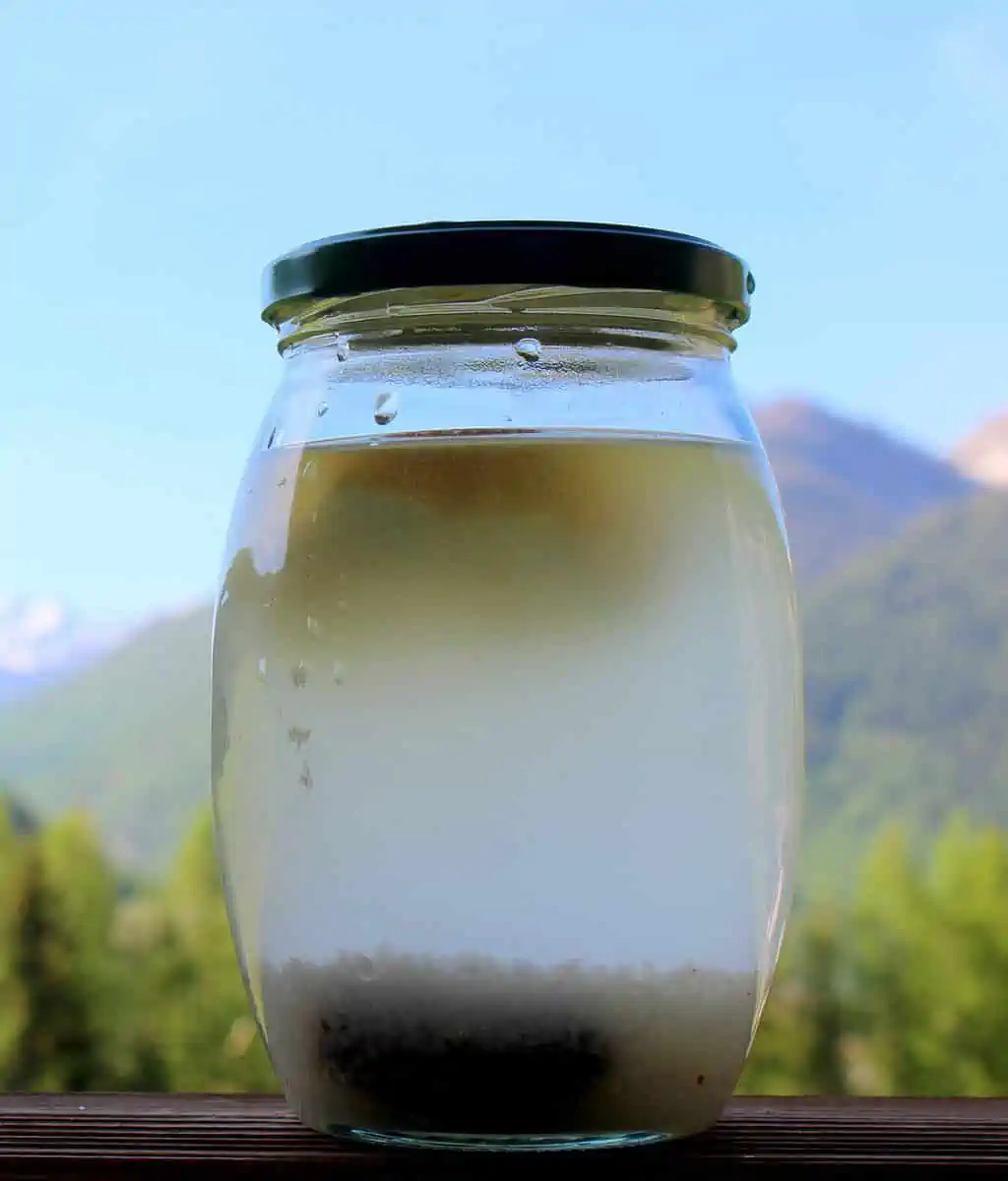 Jar with a fermented beverage