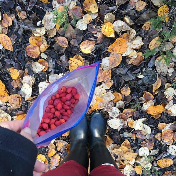 A bag full of freshly picked berries