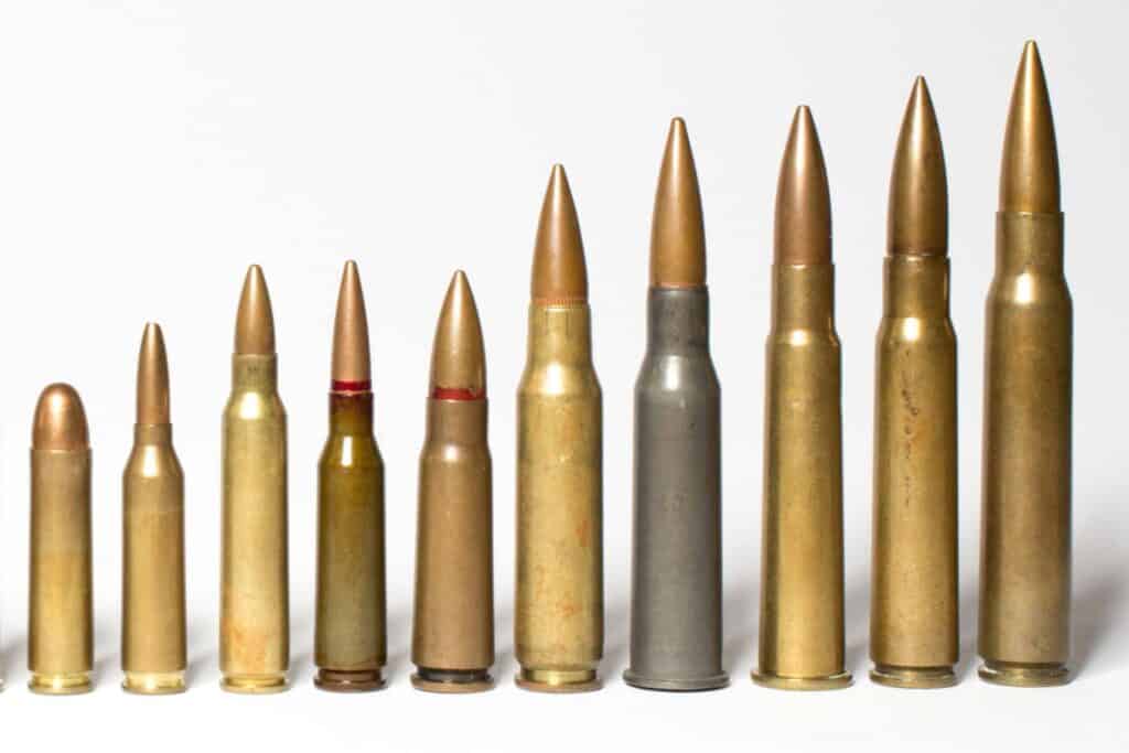 A variety of ammunition cartridges