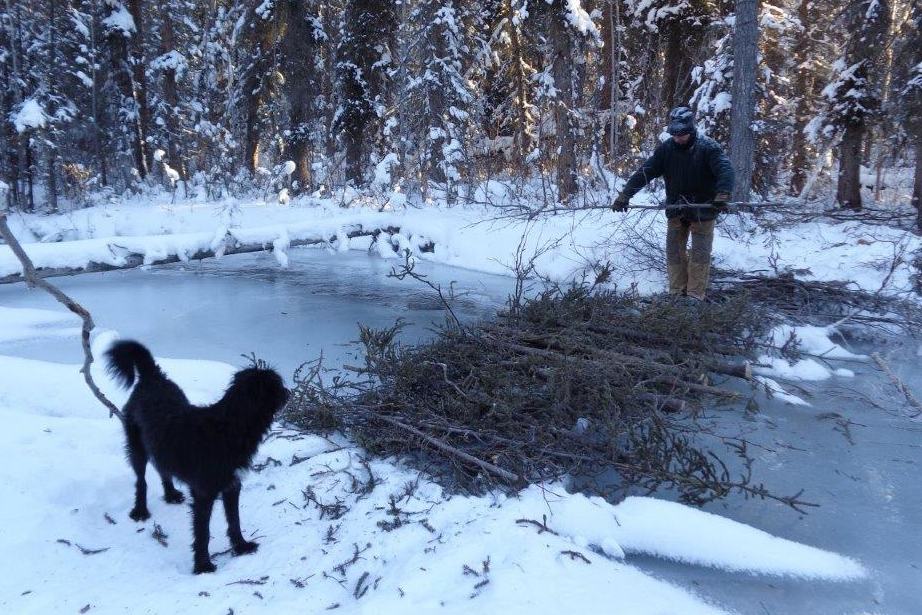A man and a dog at a frozen creek