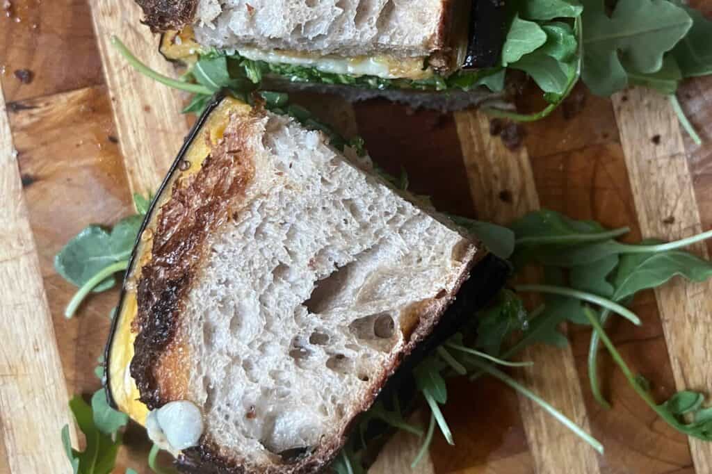 Roasted Eggplant Sandwiches, with arugula and aged cheddar