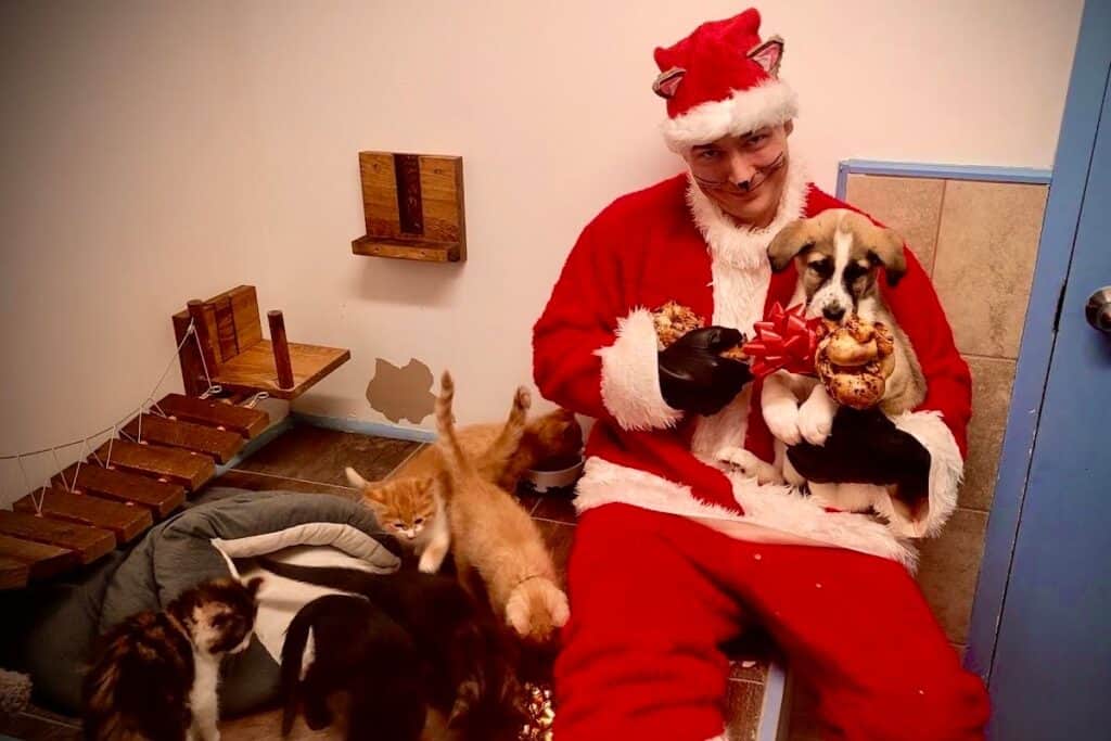 A man dressed as Santa with kittens and a puppy