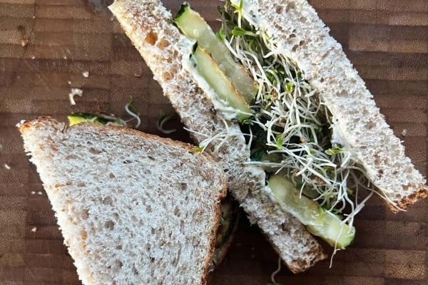 Fried Zucchini And Alfalfa Sprout Sandwich