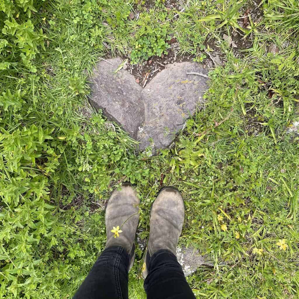 A heart shaped rock