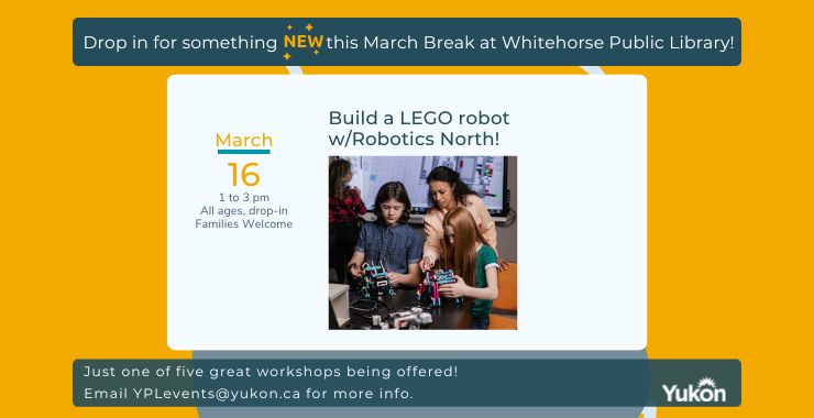 Build Your Own Robot with Robotics North