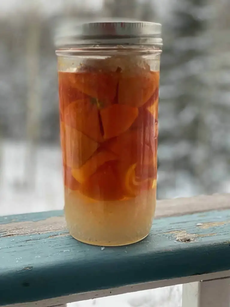 Preserved Clementines