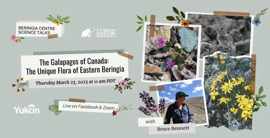 BCST - The Galapagos of Canada - The Unique Flora of Eastern Beringia
