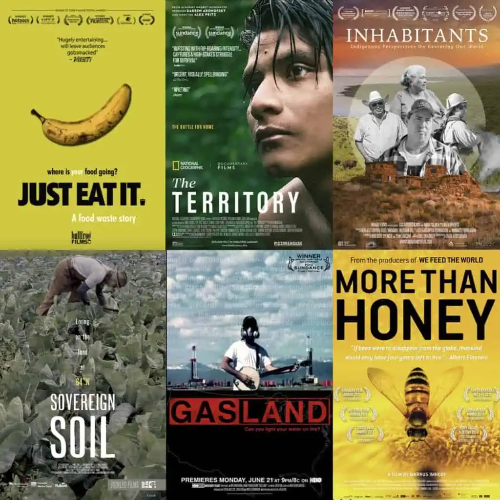 Documentary promotional posters