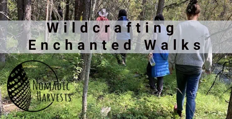 Wildcrafting - Enchanted Walks