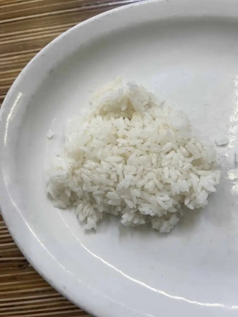 One portion of rice