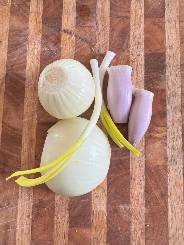 Onions, shallots and green onions