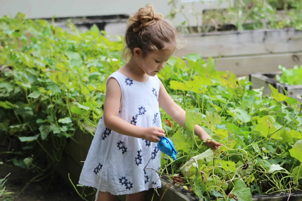 A young gardener at work